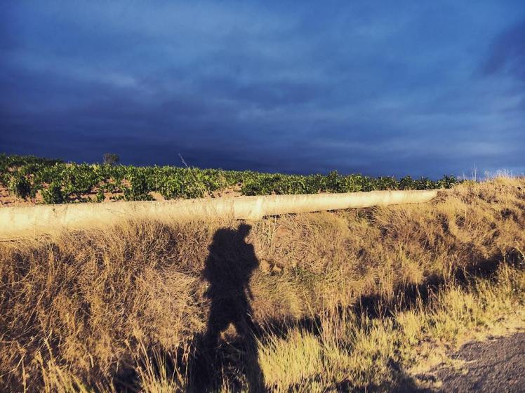 20986937_335785433529786_1213209088662437888_n